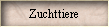 Zuchttiere